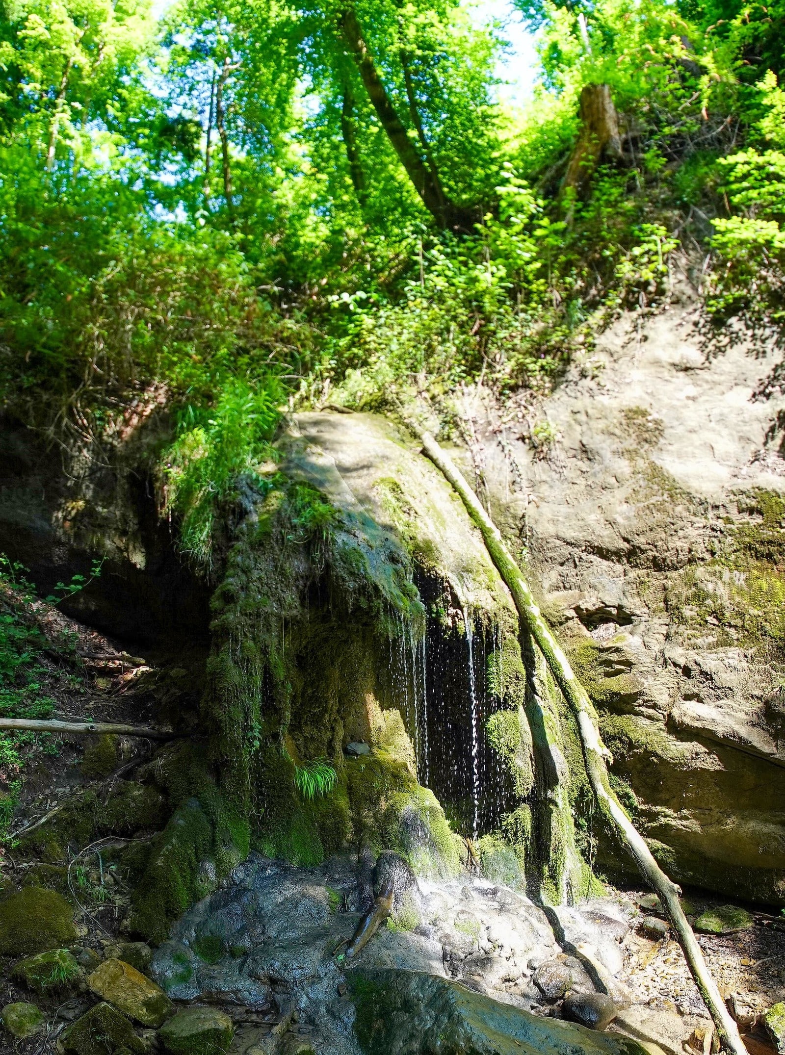 Balade cascade du bois des Pourraz